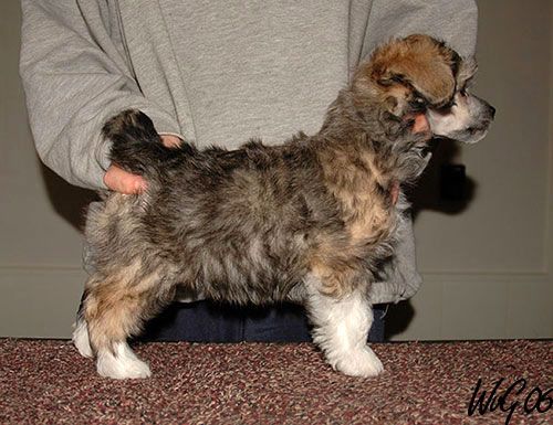 Full Monty Make a New Plan Stan