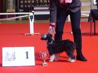 Ana-Linh de l'Horizon Poudré