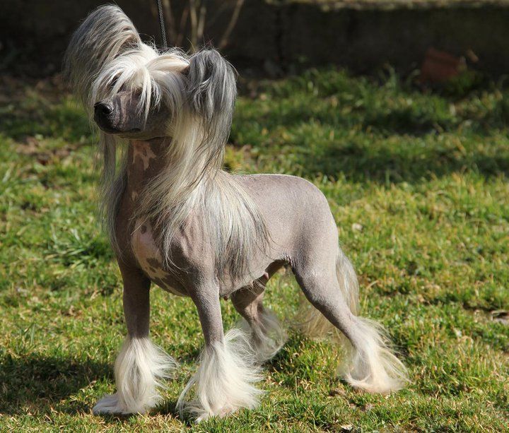 Danielle Alexie Eve-Bler