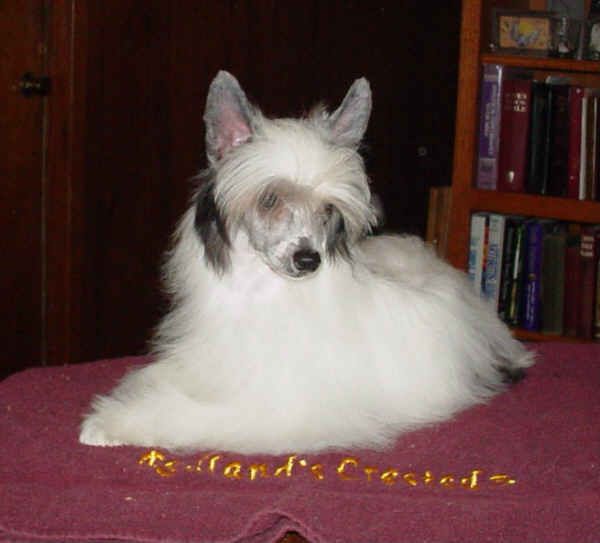 Redland's Whoopsie Daisy