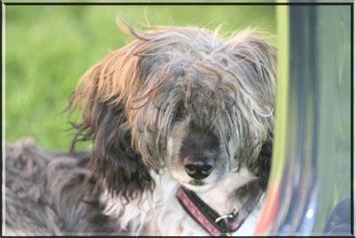 Kyokushin's Against All Odds