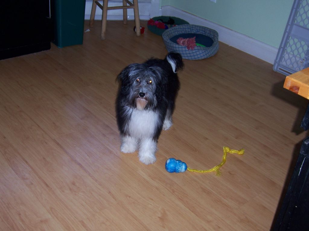 Gingery's Jedi Knight