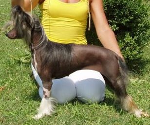 Janet z Jasne hvezdy