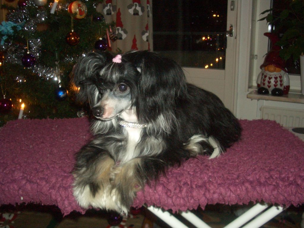 Lohamras Ris Á La Malta