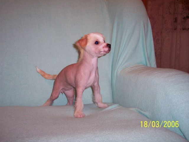 Akiwasha Charlie Jane