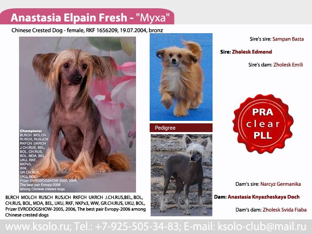 Anastasia Elpain Fresh