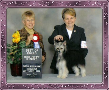 Sunberry's It Shall Be