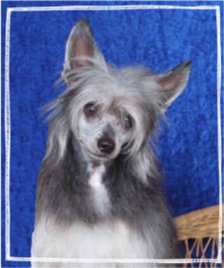 Redland Tempting Fate Malibra