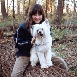 Kukur Baba's Amicelli Harlequin