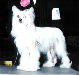 Roc N Win Gift Of Gab