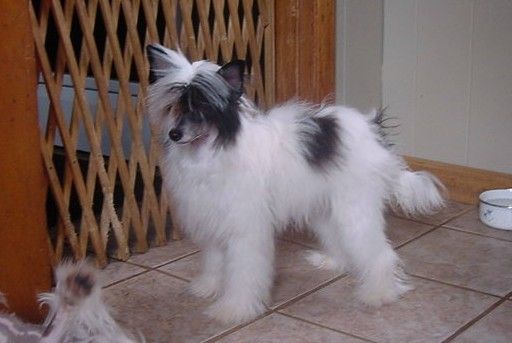 Lesmars Man of the Hour