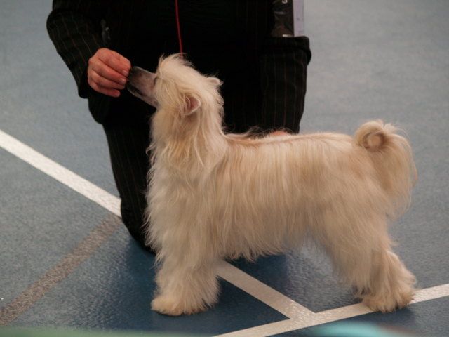 First Jolie Little Champs