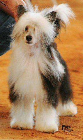 DeeKay's U Can Call Me Flower If U Want To