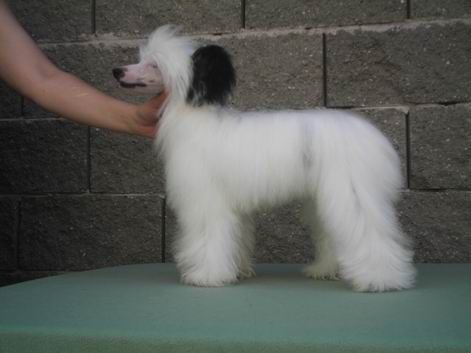 Olegro Katrin La Fontaine