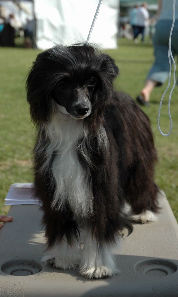 Special Edition Let's Get Loud