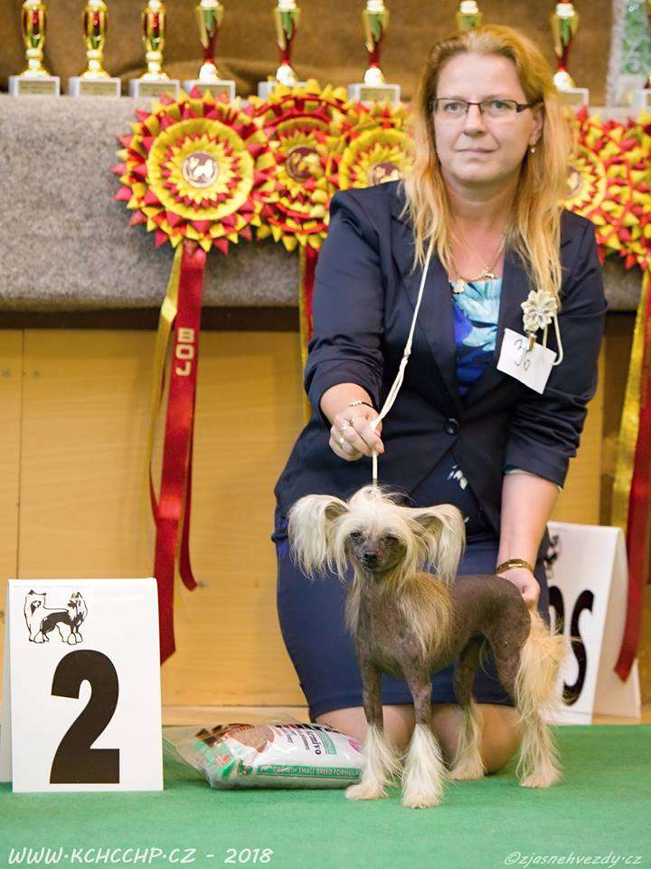 Glamour Glorie Avokaduh