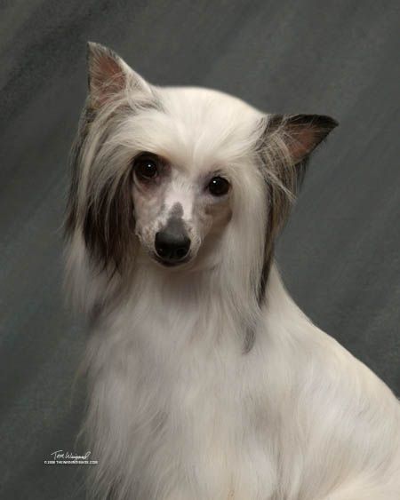 Applelou Rosanna Rosanna Hannah