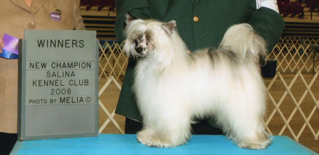 Wickhaven He's Nobody's Fool