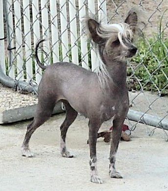 Jonbrecy's Fancy That