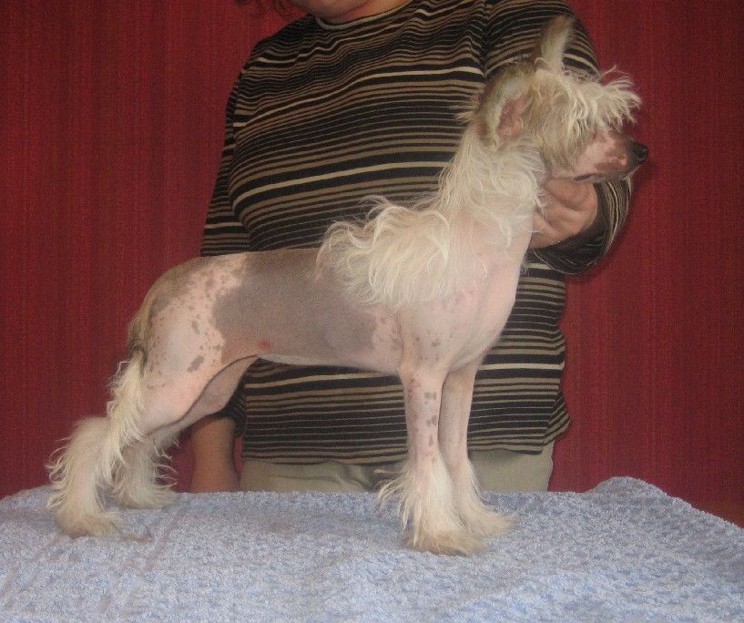 Kuutarhan Pohjoistuuli