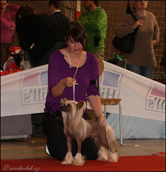 Chicco z Kamilova dvora