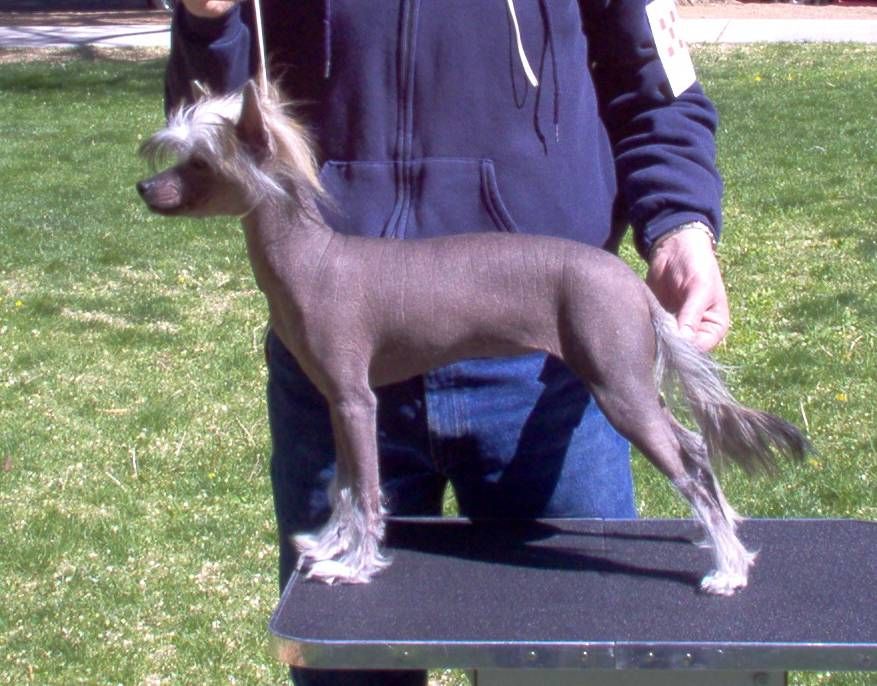 We-B Candas Queen Of D'nile