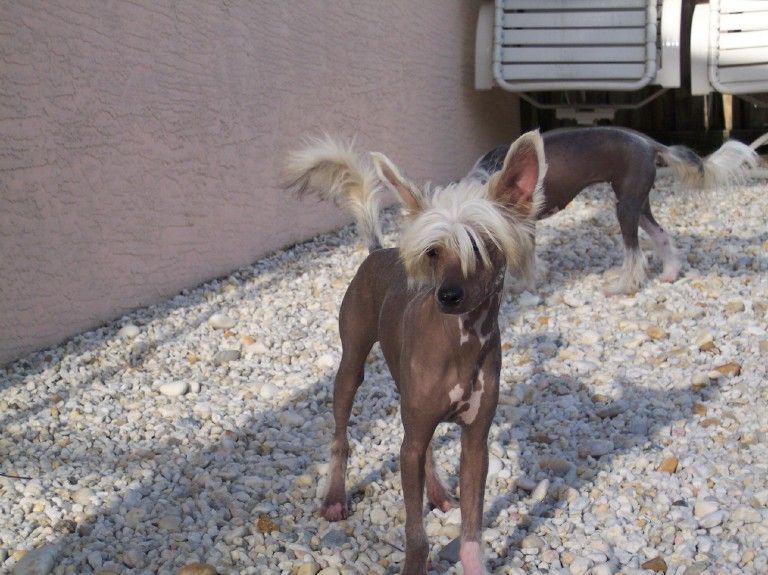 Sand N Sea's Ticket To Ride