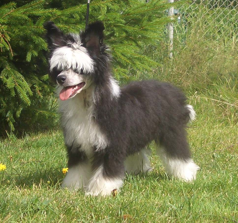 Sun-Hee's Black Crystal Onyx