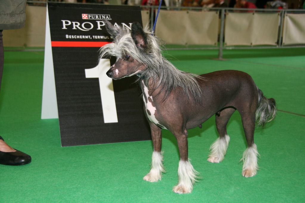 Tender Touch Of Roxy's Pride