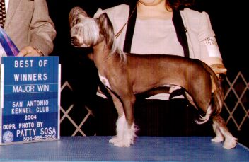 Tahler's Make My Day At Dasha