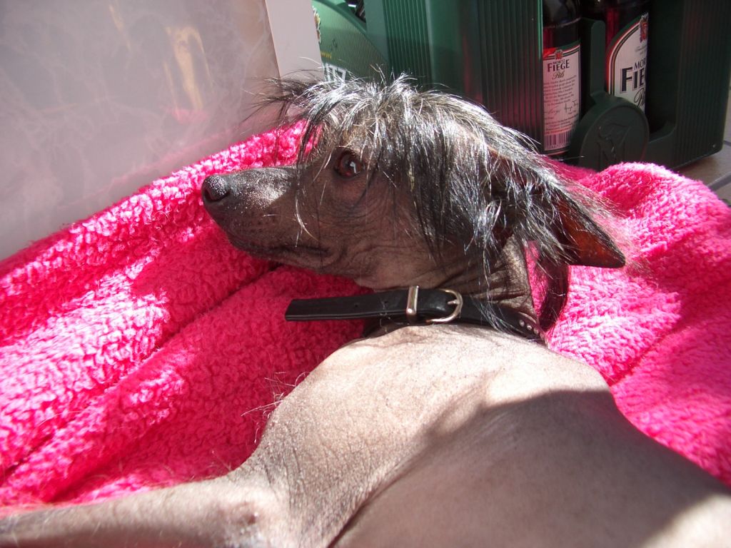 Frendor's  Animation Athos