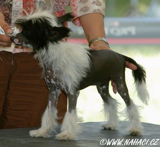 Frendor's   Applause for you