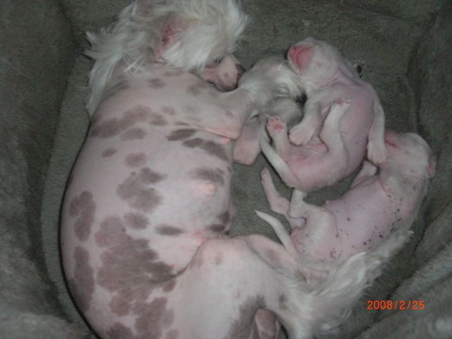 Flywheel's Fancy Trick