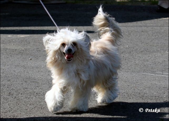 Candy Queen's Myth of Mercury
