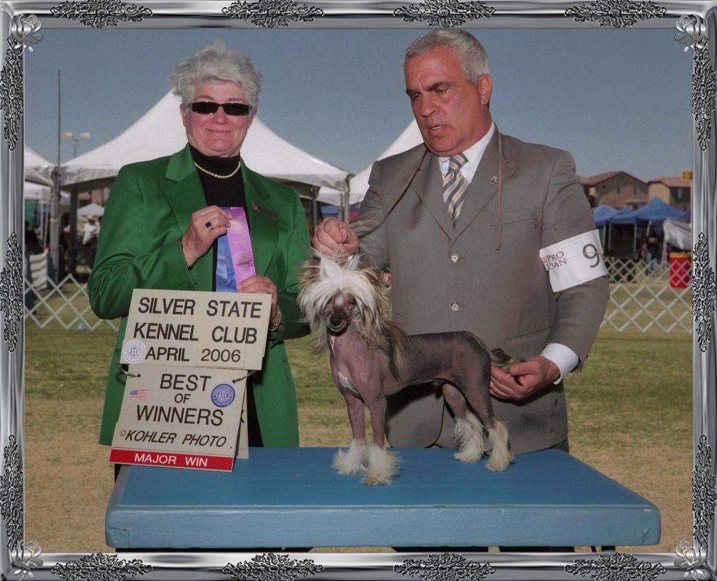 Tamarlane's Look What Santa Brought