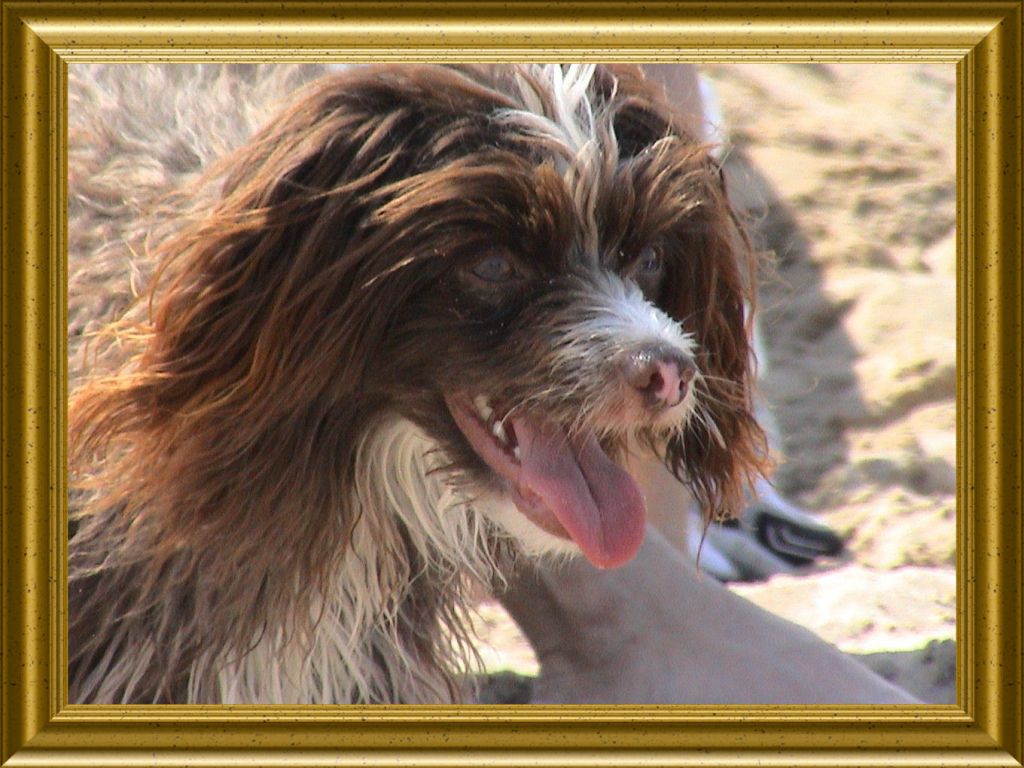 Eduard vom Hause Esox Lucius