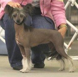 Rompford Galadriel Of Obiwan