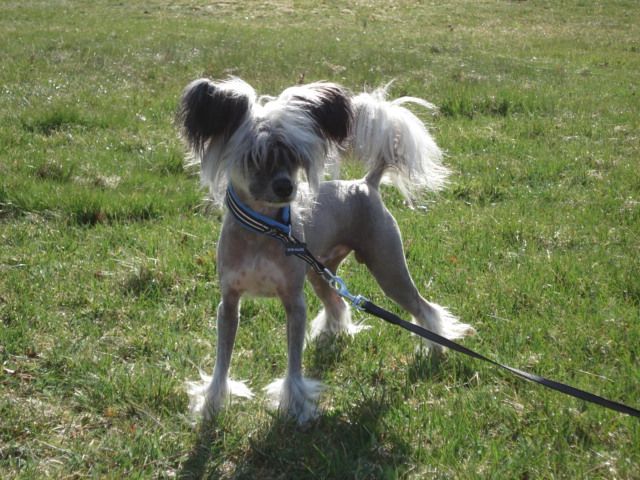 Lohamras Armagnac Grande