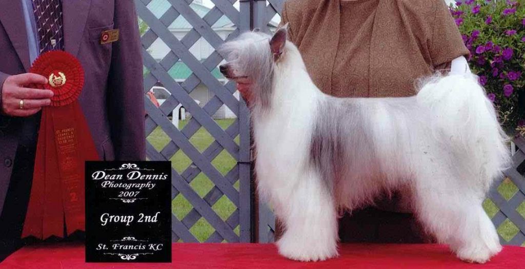 Crestyle Ela Men Terry PP