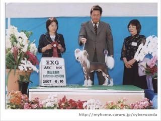 Proud Pony Hurricane