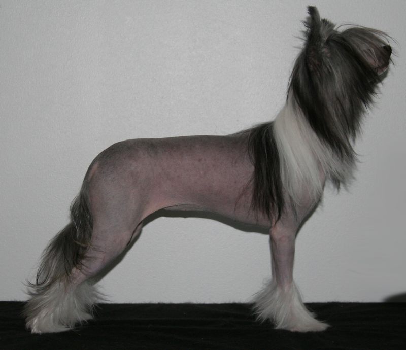 Chattanooga's Club Queen