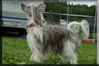 Pinku's Pricku's Ekstra Babs