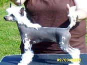 XO's Color Mia Surprised