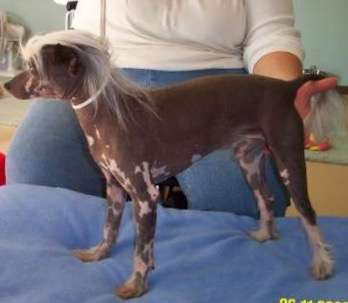 Blandora Better Buttered For Clareabell