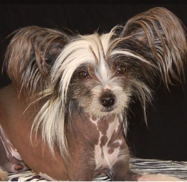 KiaOra Kissy Lips n'Vogue