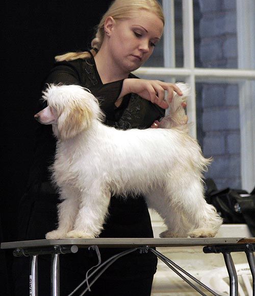 Sun Dan Veni Vidi Vici