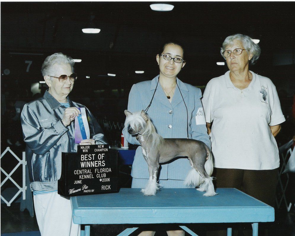 DeeKay's Hot Cross Buns on the Run