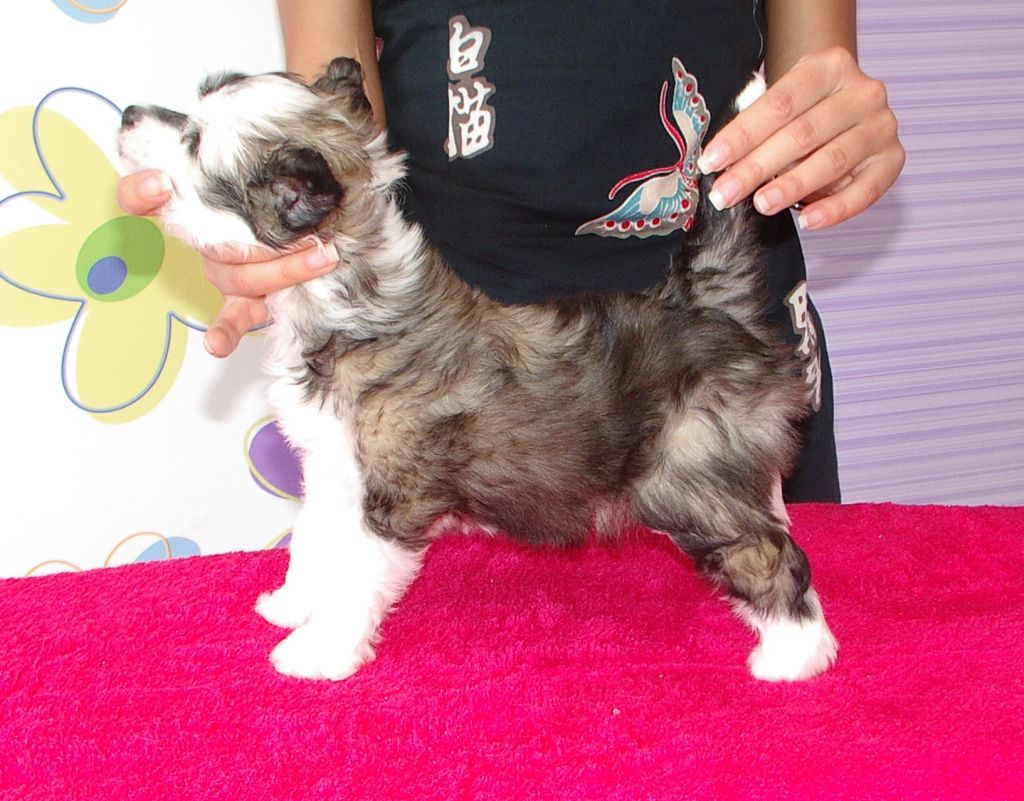 Loranronde Nataki Rit Mar