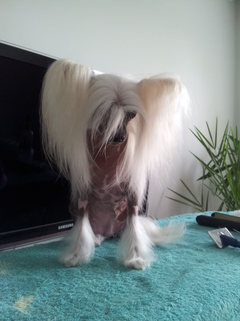 Lizelotta Nataki Rit Mar