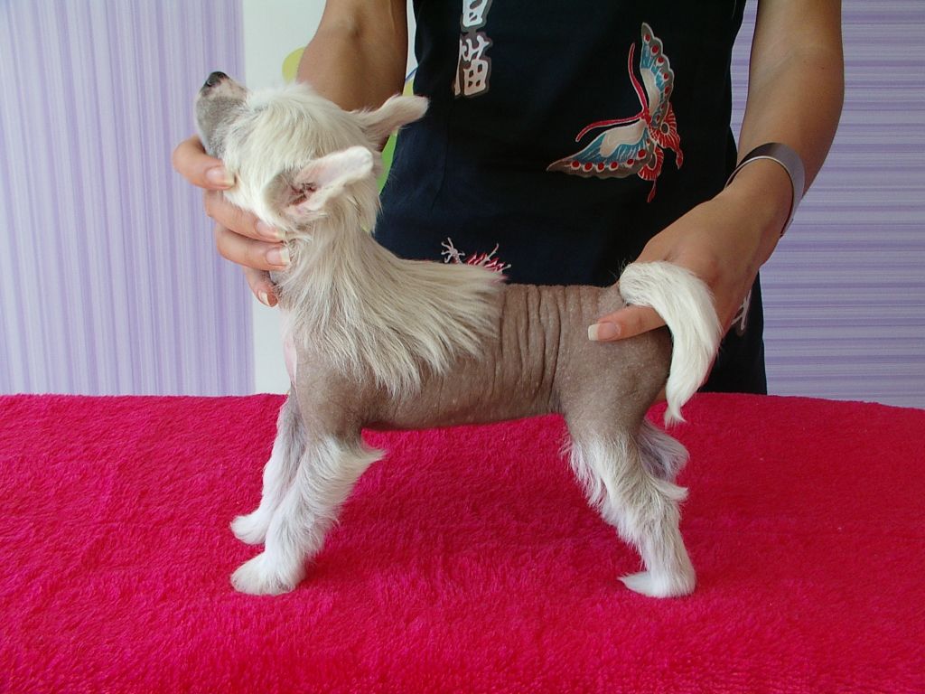 Lileanna Nataki Rit Mar